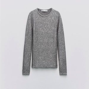 ZARA Sequin Top